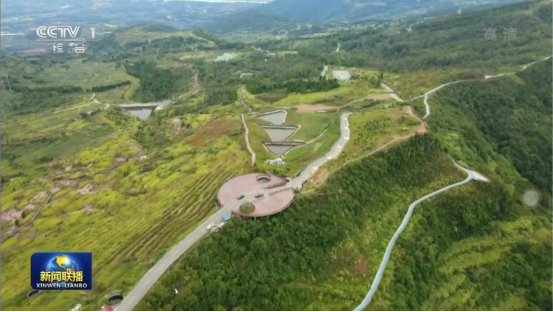 迎橄榄丰收 助乡村振兴 四川九州酷游聚峰谷油橄榄产业带动金堂公园城市绿色低碳发展